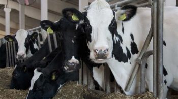 85f2c0e759d859fbe86cbe9aefed206a